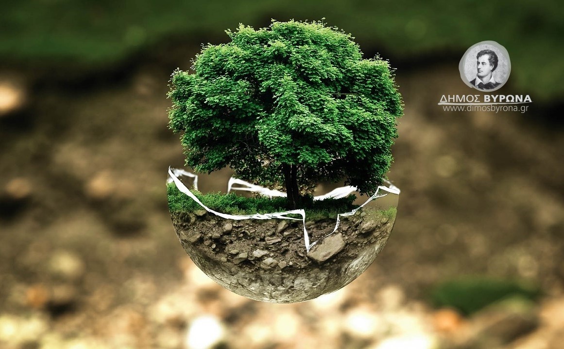 Αποτροπή ανθυγιεινών εστιών από την εκτροφή περιστεριών     