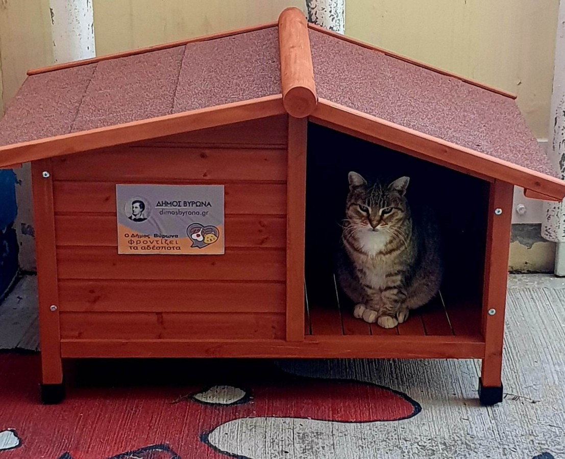 Ο Δήμος Βύρωνα με τη δράση του… τιμά καθημερινά την Παγκόσμια Ημέρα Αδέσποτων Ζώων (4 Απριλίου)