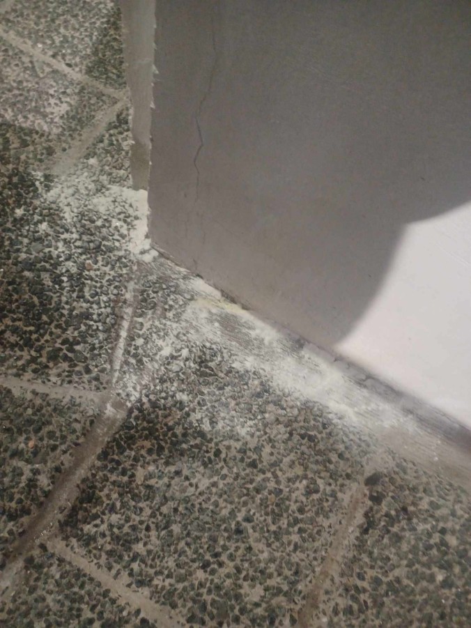 Η δηλητηρίαση των ζώων αποτελεί κακούργημα και ενέχει ποινικές και διοικητικές κυρώσεις 