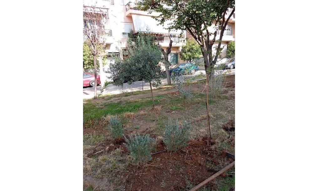 Ενίσχυση του πρασίνου στο Πάρκο Καραολή & Δημητρίου με 150 νέες φυτεύσεις