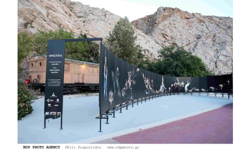 Oλοκληρώθηκαν με επιτυχία οι εκδηλώσεις του Φεστιβάλ 