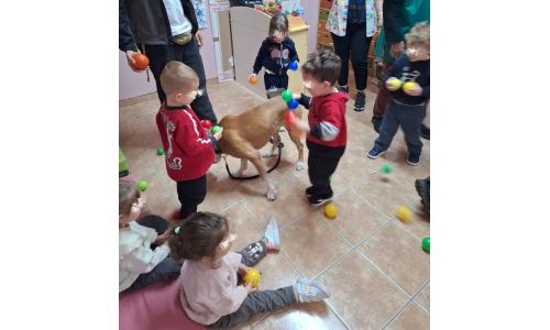 Συνεχίζεται το πρόγραμμα φιλοζωικής ευαισθητοποίησης στα σχολεία του Δήμου Βύρωνα με τον 2ο Παιδικό Σταθμό