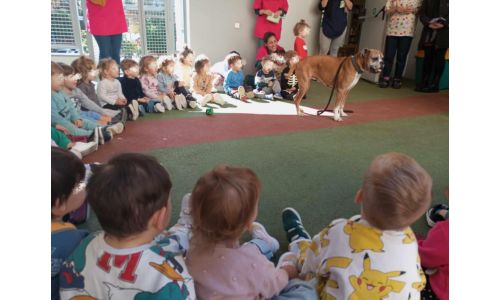 Συνεχίζεται το πρόγραμμα φιλοζωικής ευαισθητοποίησης στα σχολεία του Δήμου Βύρωνα με τον 6ο Παιδικό Σταθμό