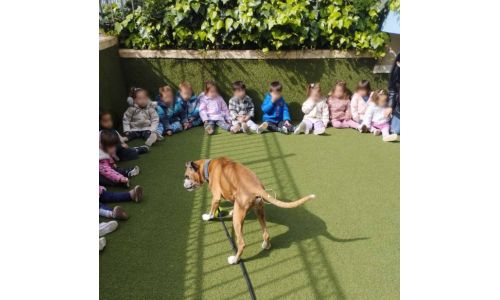 Αντίο Σίντρα! αντίο δασκάλα μας!!!
