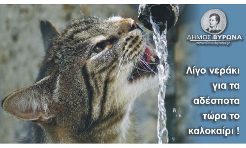 Τώρα το καλοκαίρι, λίγο νεράκι για τα ζώα!