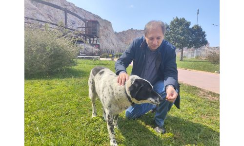 4 Απριλίου 2025 - Παγκόσμια Ημέρα Αδέσποτων Ζώων 