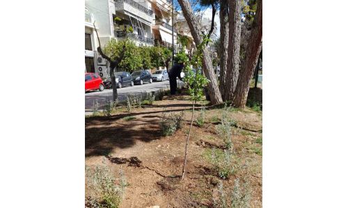 Δενδροφυτεύσεις στο Πάρκο Καραολή & Δημητρίου - Μία ανάσα πρασίνου για την πόλη μας