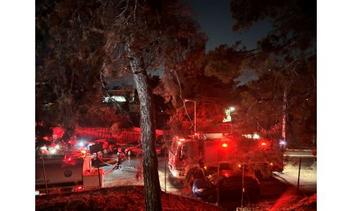 Άμεση κινητοποίηση και αποτελεσματική επέμβαση της Πυροσβεστικής Υπηρεσίας, της εθελοντικής ομάδας δασοπροστασίας Βυρώνα και του Δήμου για την αντιμετώπιση πυρκαγιάς στον Καρέα