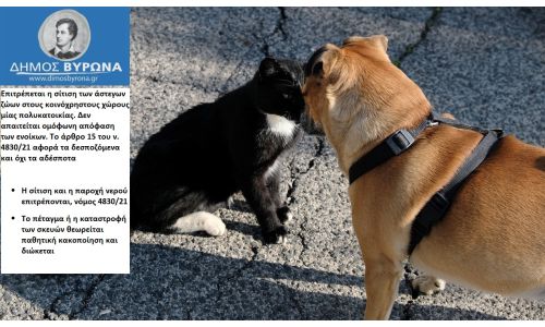 Σίτιση Αδέσποτων Ζώων σε Κοινόχρηστους Χώρους Πολυκατοικιών 