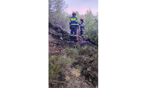 Άμεση αντιμετώπιση πυρκαγιάς στο δάσος δίπλα στην οδό Γρανικού