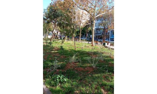 Τρίτη πράξη Αναζωογόνησης στο Πάρκο Καραολή & Δημητρίου: 507 νέες φυτεύσεις 