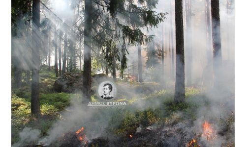 Aπαγόρευση καύσης σε όλη την επικράτεια μέχρι 18.3.2025, λόγω των επικίνδυνων μετεωρολογικών συνθηκών