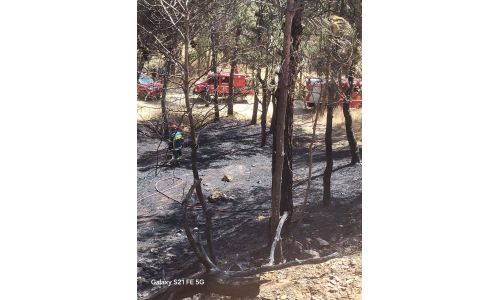 Άμεση επέμβαση από τον Δήμο, την Πυροσβεστική Υπηρεσία και τους εθελοντές δασοπυροσβέστες για την αποτροπή φωτιάς στον Υμηττό