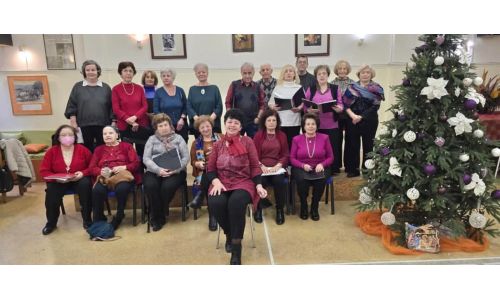 Τα μέλη του Κ.Α.Π.Η. της Αγ. Τριάδας στόλισαν το χριστουγεννιάτικο δέντρο τους