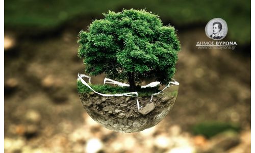 Αποτροπή ανθυγιεινών εστιών από την εκτροφή περιστεριών     