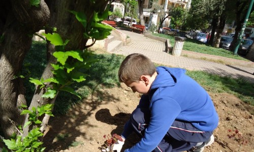 7 Απριλίου: Οι μικροί κηπουροί βάζουν χρώμα στην πόλη