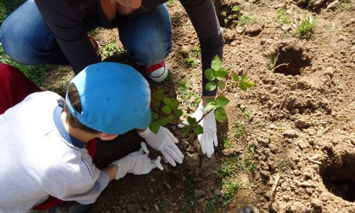 7 Απριλίου: Οι μικροί κηπουροί βάζουν χρώμα στην πόλη