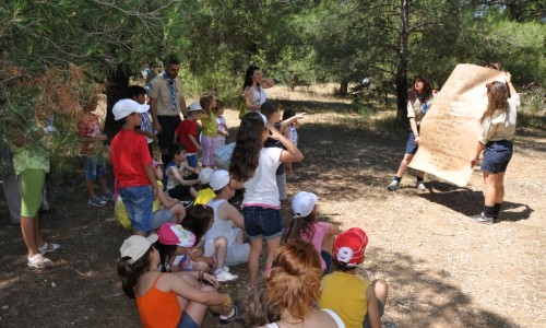 ... υπό την καθοδήγηση της Τοπικής Εφορίας Προσκόπων Βύρωνα-Καισαριανής