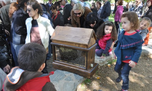 Τα παιδιά ενημερώνονται για τον τρόπο παραγωγής του μελιού