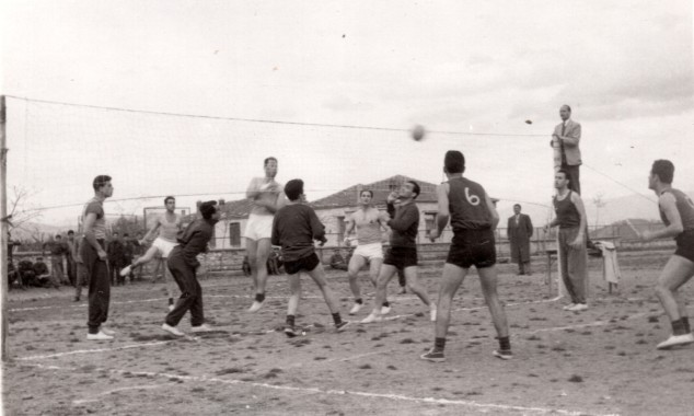 Συλλογές του Μουσείου