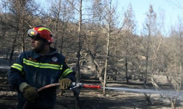 Εθελοντική Ομάδα Δασοπροστασίας Βύρωνα