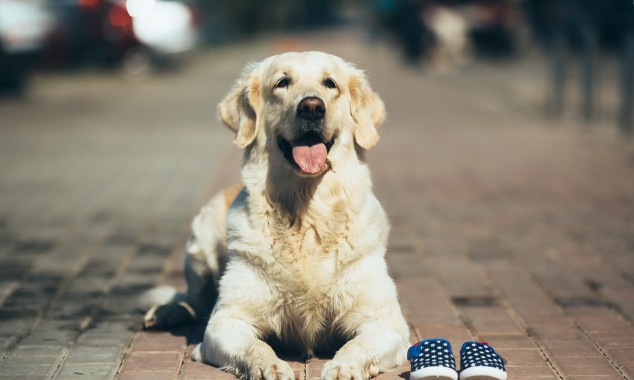 Οι δράσεις του Δήμου