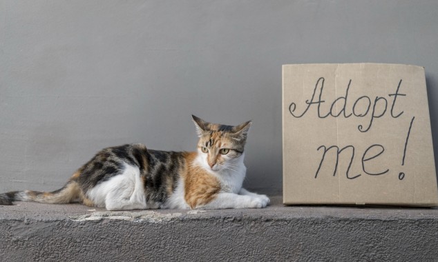Ανοίξτε την αγκαλιά σας σε ένα αδέσποτο του Βύρωνα