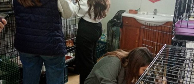 Καταφύγιο «ανθρωπιάς» Μια Επίσκεψη στον χώρο της Βραχείας Φιλοξενίας της υπηρεσίας Αστικής Πανίδας  του Δήμου Βύρωνα - 5ο Λύκειο Βύρωνα