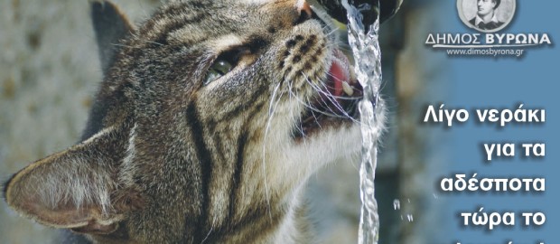 Τώρα το καλοκαίρι, λίγο νεράκι για τα ζώα!