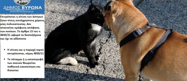 Σίτιση Αδέσποτων Ζώων σε Κοινόχρηστους Χώρους Πολυκατοικιών 