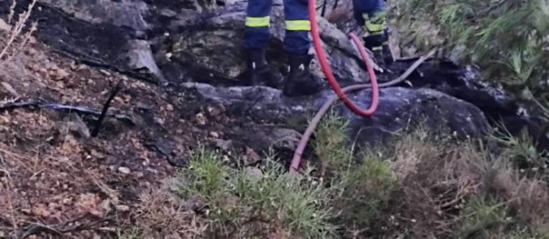 Άμεση αντιμετώπιση πυρκαγιάς στο δάσος δίπλα στην οδό Γρανικού